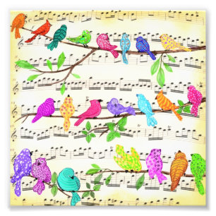 Foto Bons e Coloridos Pássaros Musicais Poster