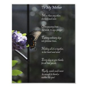 Foto Borboleta bonita "obrigado à minha mãe" você po