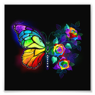 Foto Borboleta-flor-arco-íris