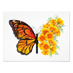 Foto Borboleta Flor com Papagaio Amarelo da Califórnia