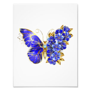 Foto Borboleta Flor Sapphire