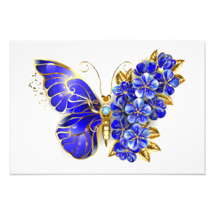 Foto Borboleta Flor Sapphire