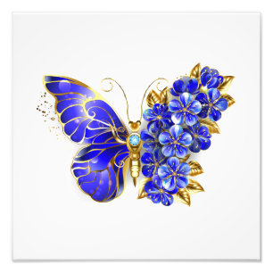 Foto Borboleta Flor Sapphire
