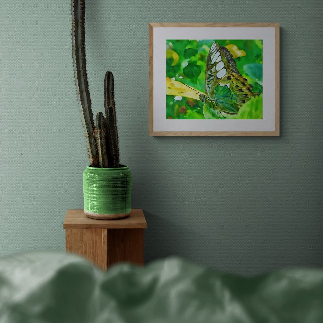 Foto Borboleta Malachite em Folha Verde (Criador carregado)