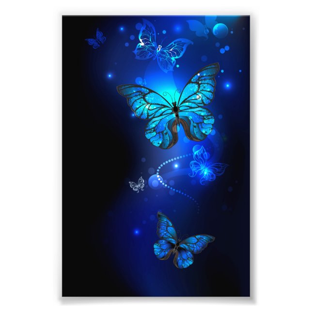 Foto Borboleta Morpho em Fundo Escuro (Frente)