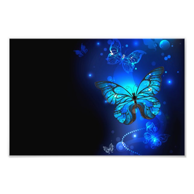 Foto Borboleta Morpho no Fundo Escuro (Frente)