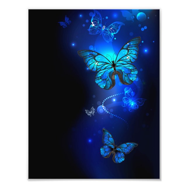 Foto Borboleta Morpho no Fundo Escuro (Frente)