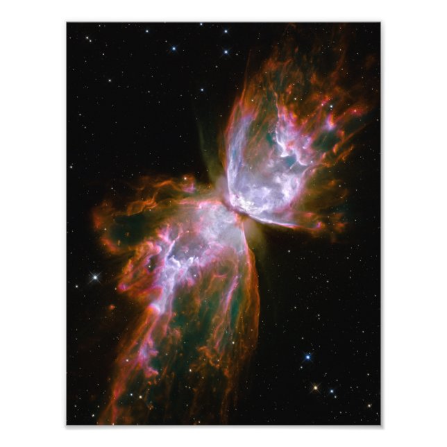 Foto Borboleta / Nebulosa do Inseto (Telescópio Hubble) (Frente)