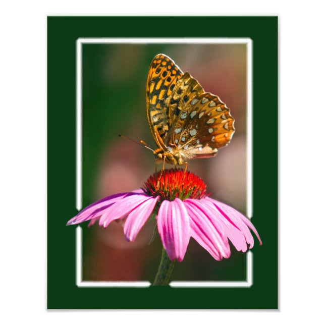 Foto Borboleta No ConEFlower Roxo (Frente)