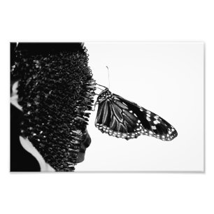 Foto borboleta tímida preta