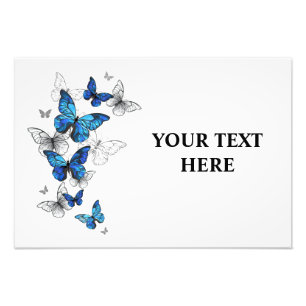 Foto Borboletas Azuis Morpho