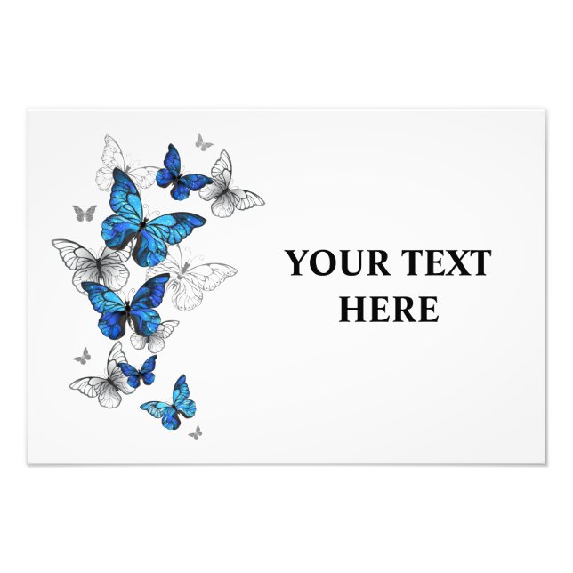 Foto Borboletas Azuis Morpho (Frente)