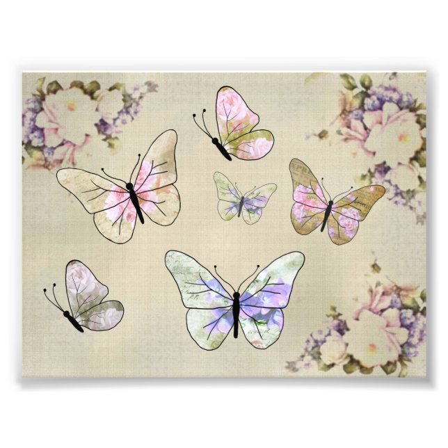 Foto Borboletas de rosa (Frente)