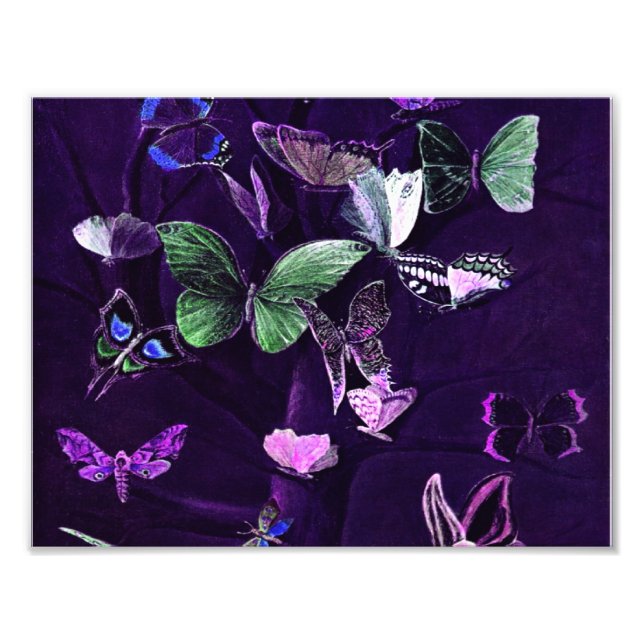 Foto Borboletas Em Roxo (Frente)