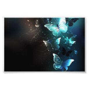 Foto Borboletas Noturnas de Menta