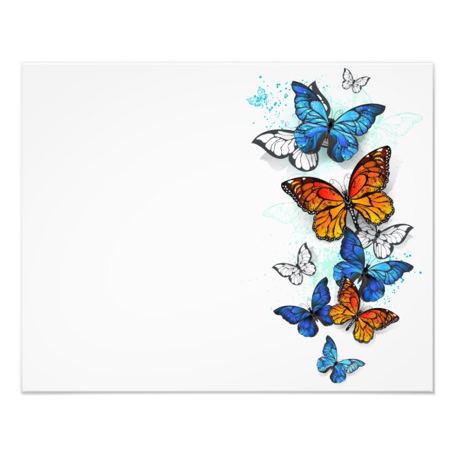 Foto Borboletas voadoras Morpho e Monarca (Frente)
