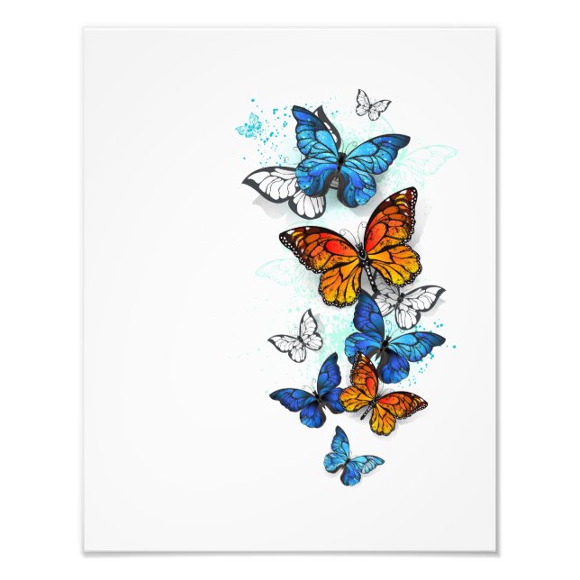 Foto Borboletas voadoras Morpho e Monarca (Frente)