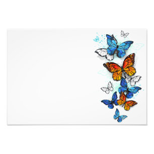 Foto Borboletas voadoras Morpho e Monarca