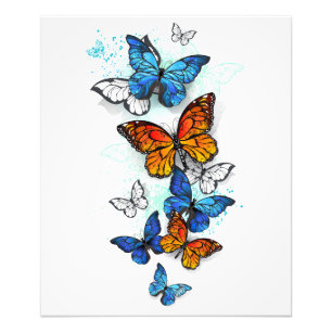 Foto Borboletas voadoras Morpho e Monarca