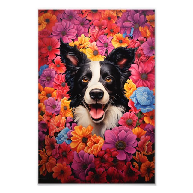 Foto Borda Collie em flores (Frente)