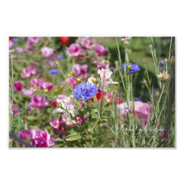 Foto Botões do solteiro (Frente)