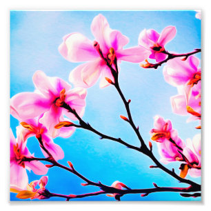 Foto Brilhos da Primavera