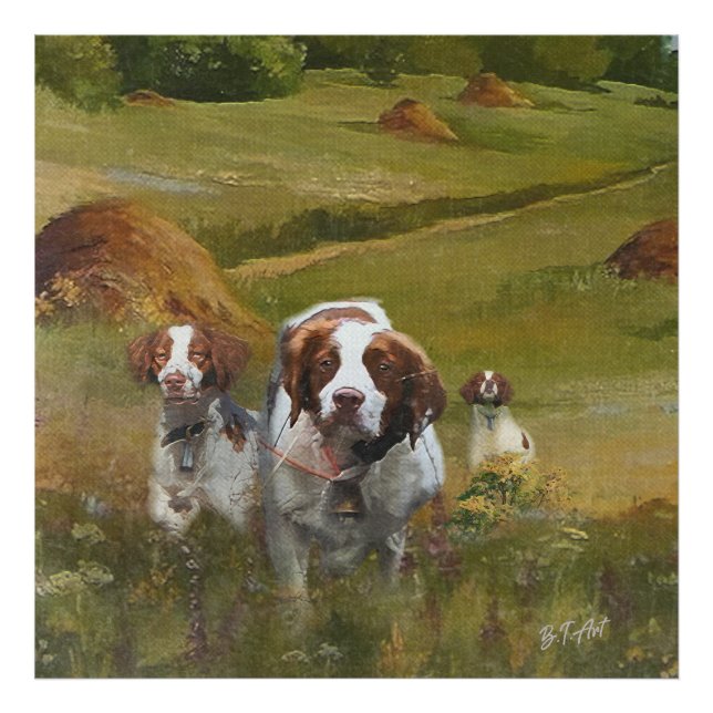 Foto Brittany Spaniel (Frente)