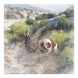 Foto Brittany Spaniel caçando partucho chukar, Art