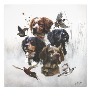 Foto Brittany Spaniels , Estação de Caça de Pássaros
