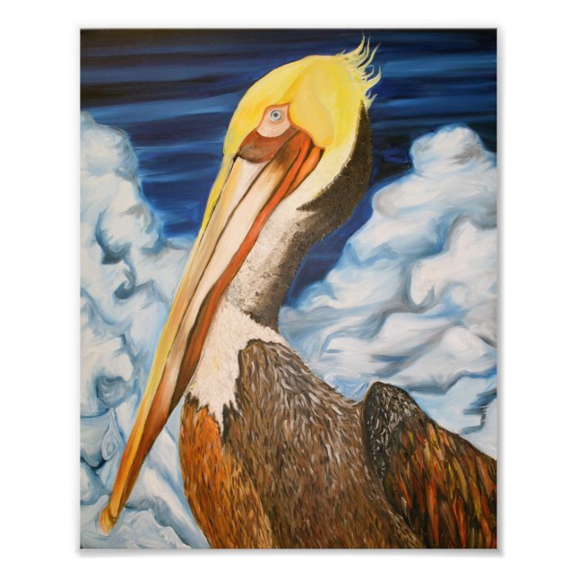 Foto Brown Pelican (Frente)