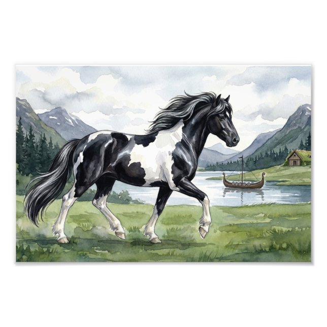 Foto Brunskjottur Black pinto islandês (Frente)