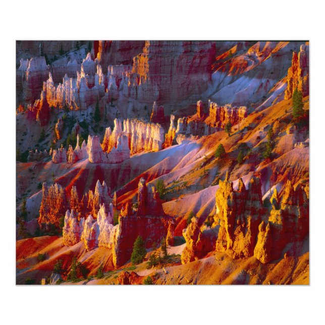 Foto Bryce Canyon, Utah, EUA 2 (Frente)