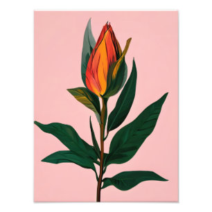 Foto Bud da Magnolia Vibrante