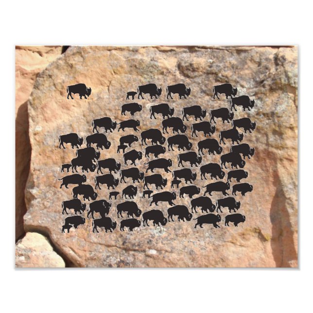 Foto Buffalo (Frente)