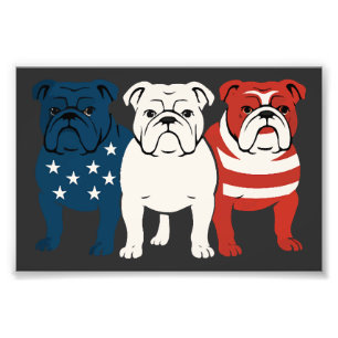 Foto Bulldog 4 de Julho Amante de Cachorro Homens mulhe