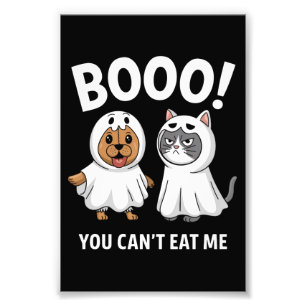 Foto Buu Você Não Pode Me Comer Cachorros E Gatos Funny