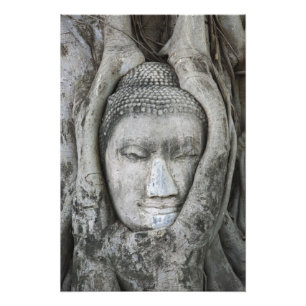 Foto Cabeça de Buda em arenito cercada por árvore