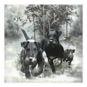 Foto Caça Alemã Terrier, O Jagdterrier, Arte