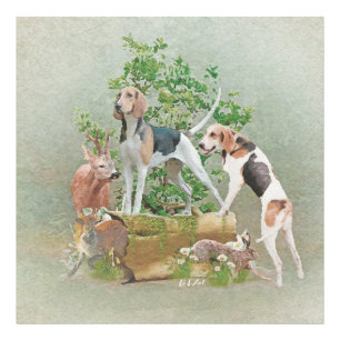 Foto Caça com cães