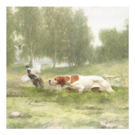 Foto Caça de faisão com ponteiro