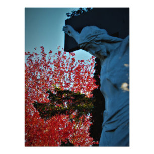 Foto "Caça do Céu"