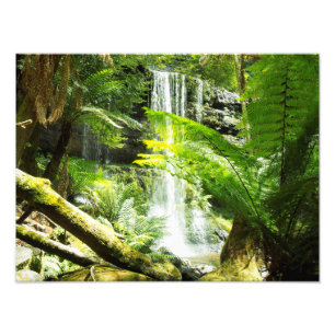 Foto Cachoeira da floresta húmida