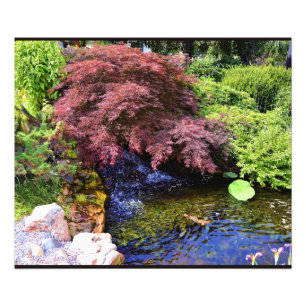 Foto Cachoeira japonesa do jardim