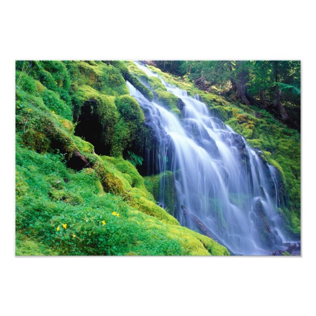 Foto Cachoeira Proxy nas Cascatas centrais de Oregon. (Frente)