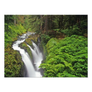 Foto Cachoeira Sol Duc no Parque Nacional Olímpico em