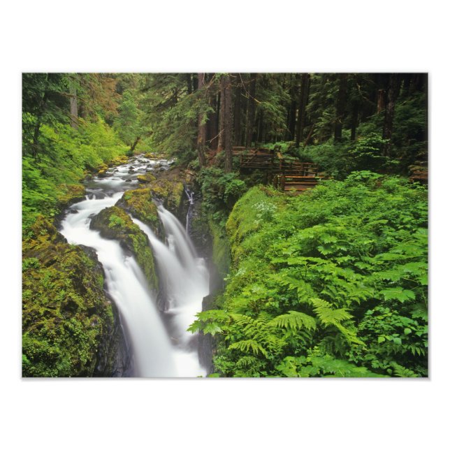 Foto Cachoeira Sol Duc no Parque Nacional Olímpico em (Frente)