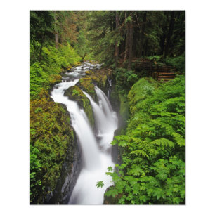 Foto Cachoeira Sol Duc no Parque Nacional Olímpico em 2