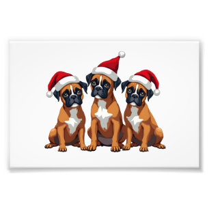 Foto Cachorro Boxer Suéter Feio Luz de Natal Roupa de N
