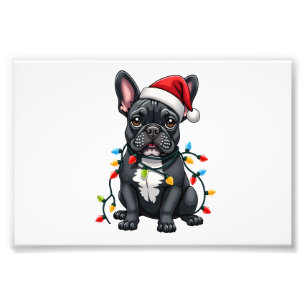 Foto Cachorro de Natal Bulldog Francês Natal Frenchie