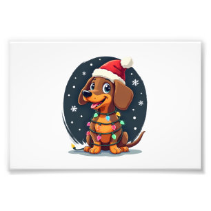 Foto Cachorro de Natal Dachshund Papai Noel Xmas Wiener